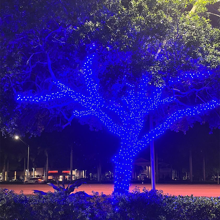 Tree and Brush Lighting Fort Worth 1